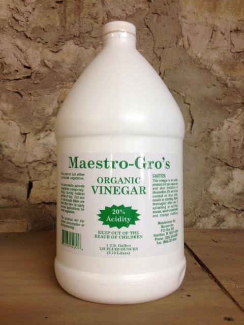top 28 20 vinegar lowes poultry carving guide recipes top 28 20 vinegar lowes cuisinox bot top 28 20 vinegar lowes poultry carving guide recipes top 28 20 vinegar lowes cuisinox bot